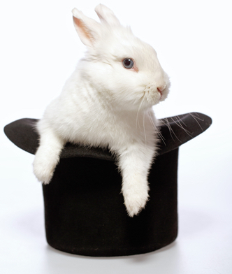 Rabbit playing with a magicians hat